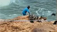 Задник до фильму"" #740792