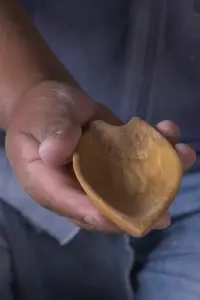 The life with the Pewen