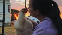 Задник до фильму"" #678948