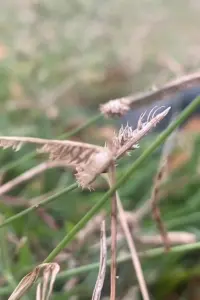 Постер до фильму"" #619840