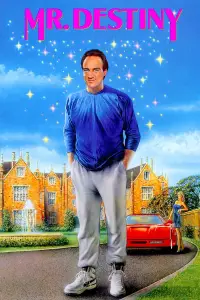 Постер до фильму"Містер Доля" #1035753