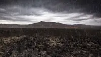 Задник до фильму"" #886952