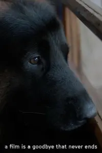 Постер до фильму"" #480892