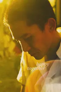 Постер до фильму"Щасливі разом" #1141986