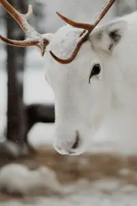 Постер до фильму"" #1200610