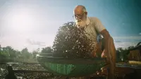 Задник до фильму"" #712383
