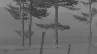 Задник до фильму"" #599830
