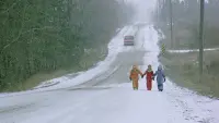 Задник до фильму"Виводок" #821394