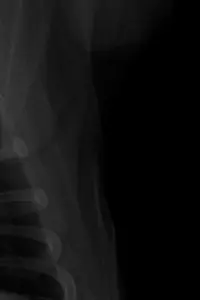 Постер до фильму"" #657904