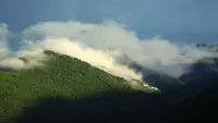 Задник до фильму"" #799408
