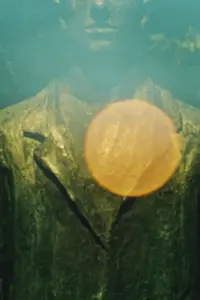 Постер до фильму"" #365697