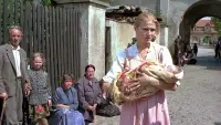Задник до фильму"" #746803