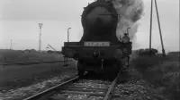 Задник до фильму"Потяг" #809462
