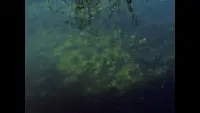 Задник до фильму"" #510668