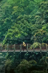 Постер до фильму"" #870061