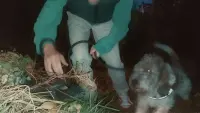 Задник до фильму"" #706459