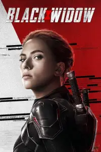 Постер до фильму"Чорна вдова" #935404