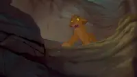 Задник до фильму"Король Лев" #1054837