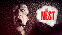 Задник до фильму"Гнізно" #1105971