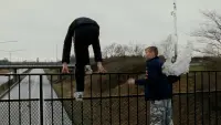 Задник до фильму"Ліля назавжди" #693291