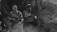 Задник до фильму"Істота з Чорної лагуни" #783017