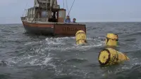 Задник до фильму"Щелепи" #815587