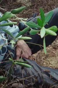 Постер до фильму"" #1050656