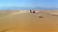Задник до фильму"" #802786