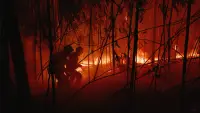 Задник до фильму"" #870042