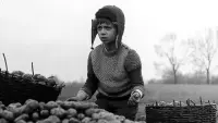 Задник до фильму"" #814360