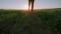 Задник до фильму"Пісня за піснею" #705277