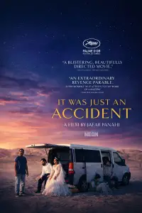 Постер до фильму"Проста випадковість" #509135