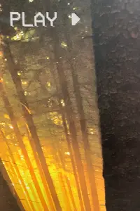 Постер до фильму"" #1009535