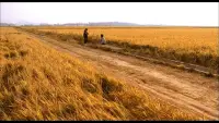Задник до фильму"Спогади про вбивство" #742004