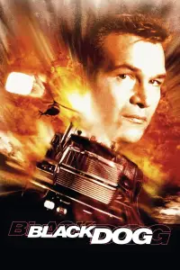 Постер до фильму"Чорний пес" #970108