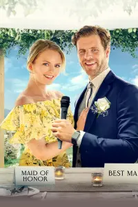 The Wedding Fix