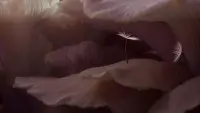 Задник до фильму"" #747754