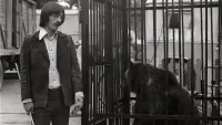 Задник до фильму"Дикий Гаврила" #844873