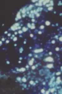 Постер до фильму"Пісня 21" #1045044