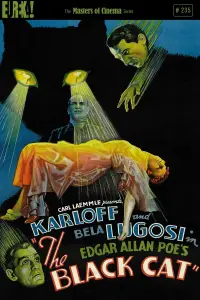 Постер до фильму"Чорний кіт" #979707