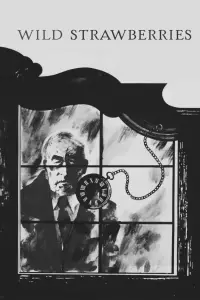 Постер до фильму"Сунична галявина" #979358