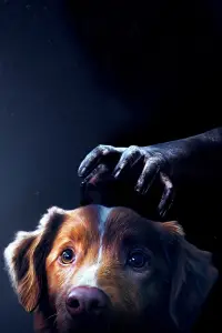 Постер до фильму"" #867350