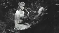 Задник до фильму"Сунична галявина" #684376