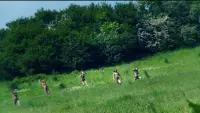 Задник до фильму"" #800547