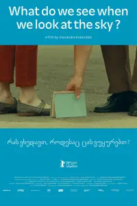 Постер до фильму"Що ми бачимо, коли дивимось у небо?" #963415