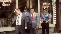 Задник до фильму"Собачий полудень" #754598