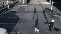 Задник до фильму"" #871533