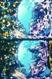 Постер до фильму"Квартет Данте" #1209336