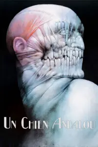 Постер до фильму"Андалузький пес" #895676