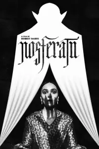 Постер до фильму"Носферату" #1123293